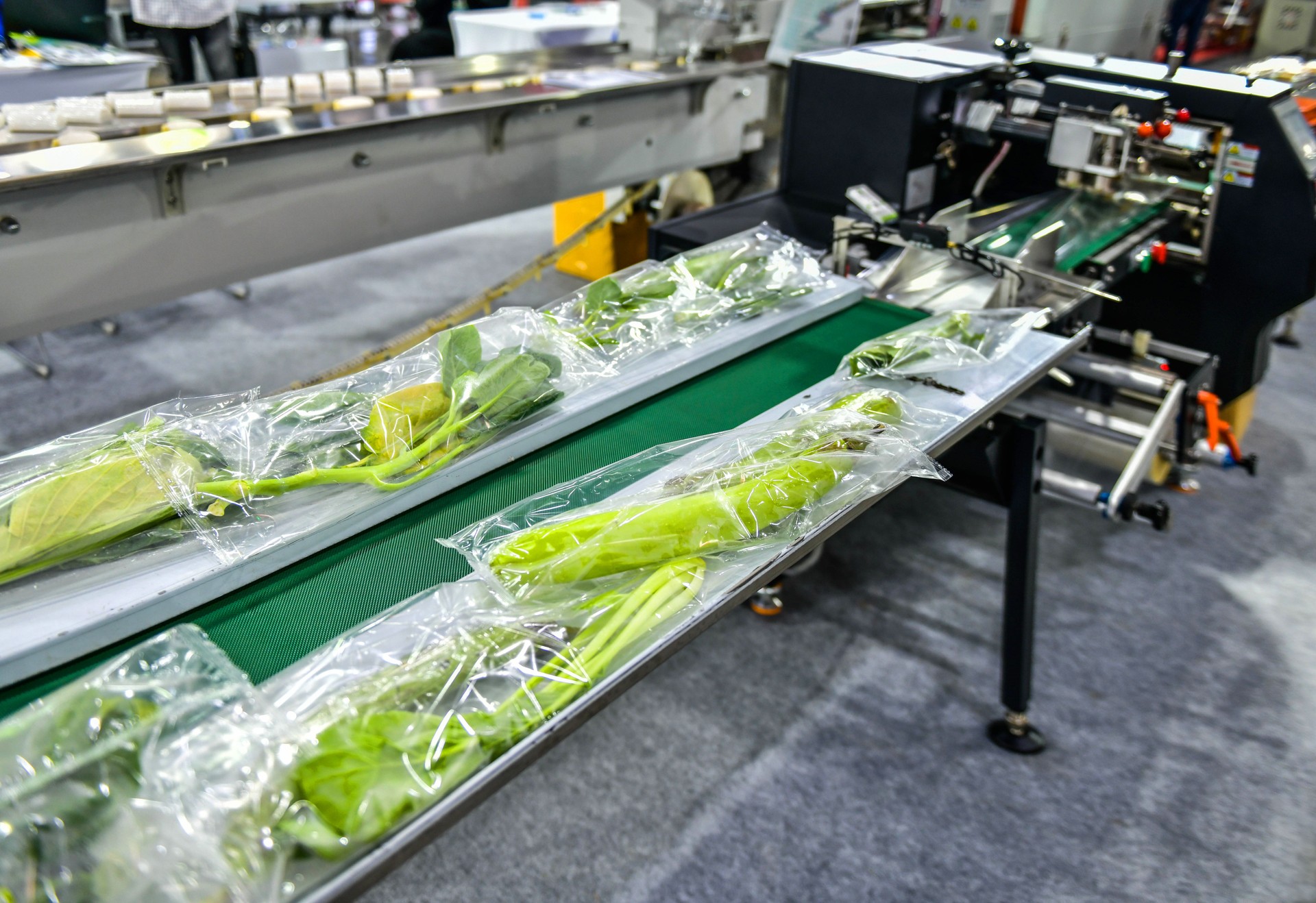 Packaging machine Agricultural vegetables Horizontal speed wrapping in the factory