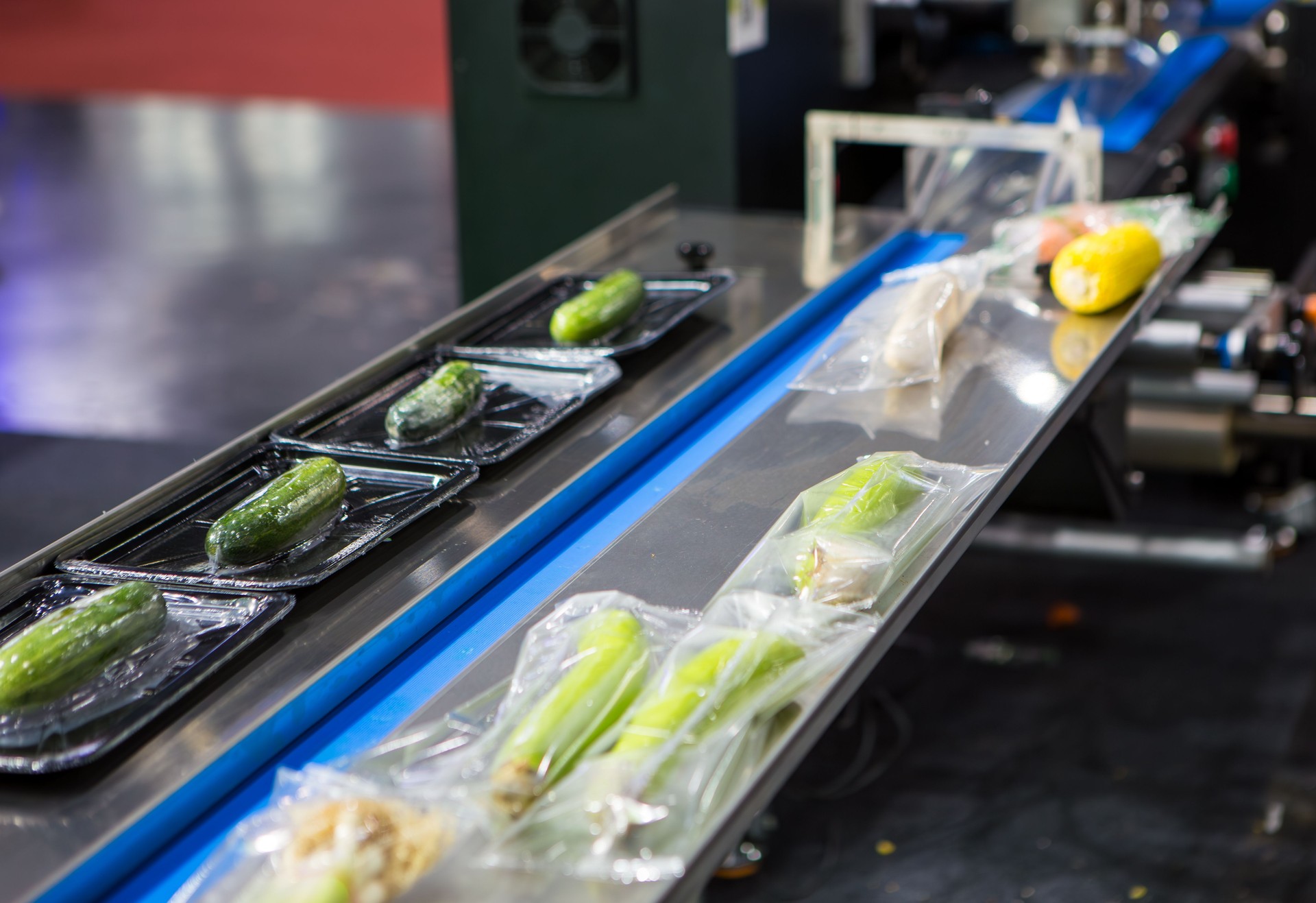 Automatic food flow wrapping machine